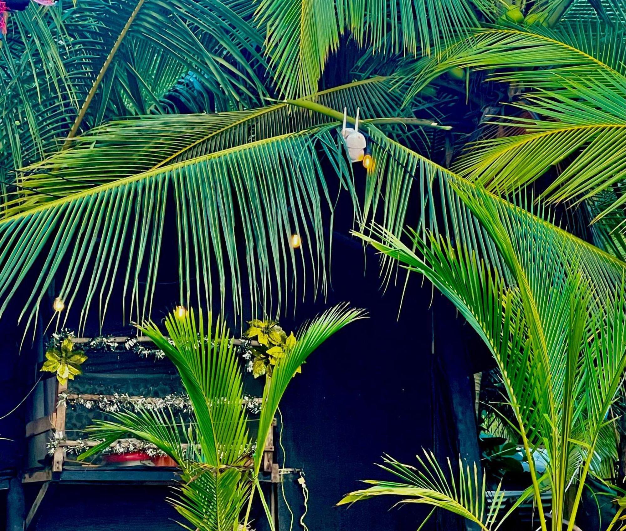 Beachfront Paradise มานูเอล อันโตนิโอ ภายนอก รูปภาพ