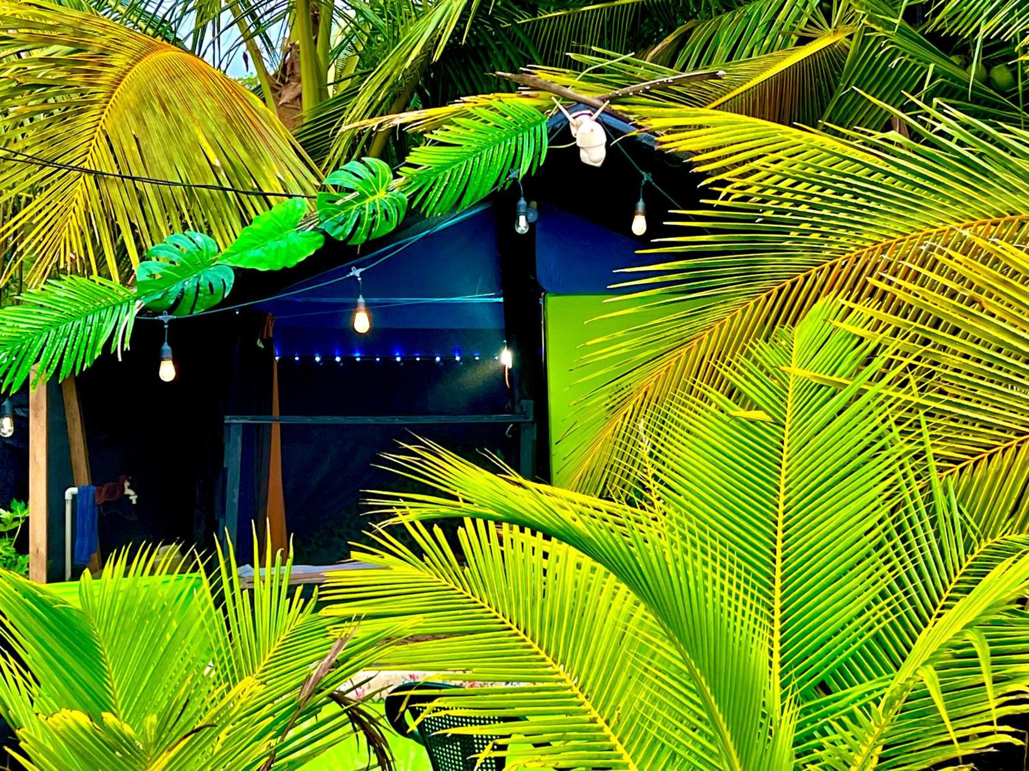 Beachfront Paradise มานูเอล อันโตนิโอ ภายนอก รูปภาพ